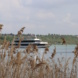 Ausflugschiff auf dem Markkleeberger See, Schilf.