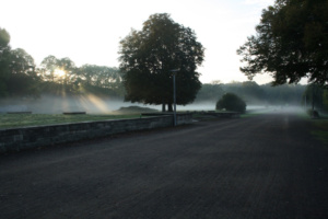 Neblige Morgenlandschaft mit Sonne und Bäumen.
