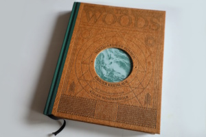 The Woods. Foto: Ralf Julke