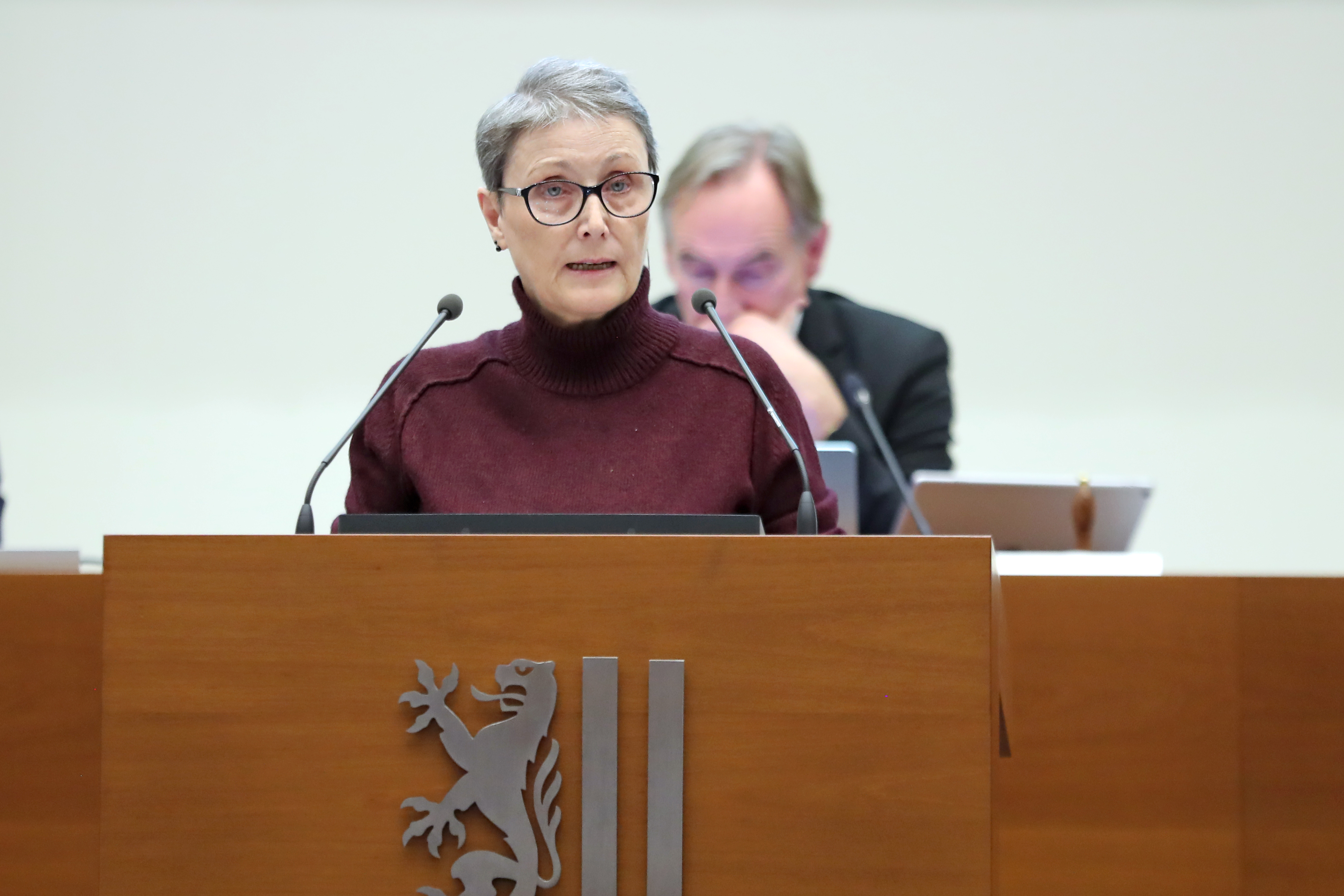 Frau Beate Ehms (Die Linke/Petitionsausschuss) im Leipziger Stadtrat am 29.10.25. Foto: Jan Kaefer