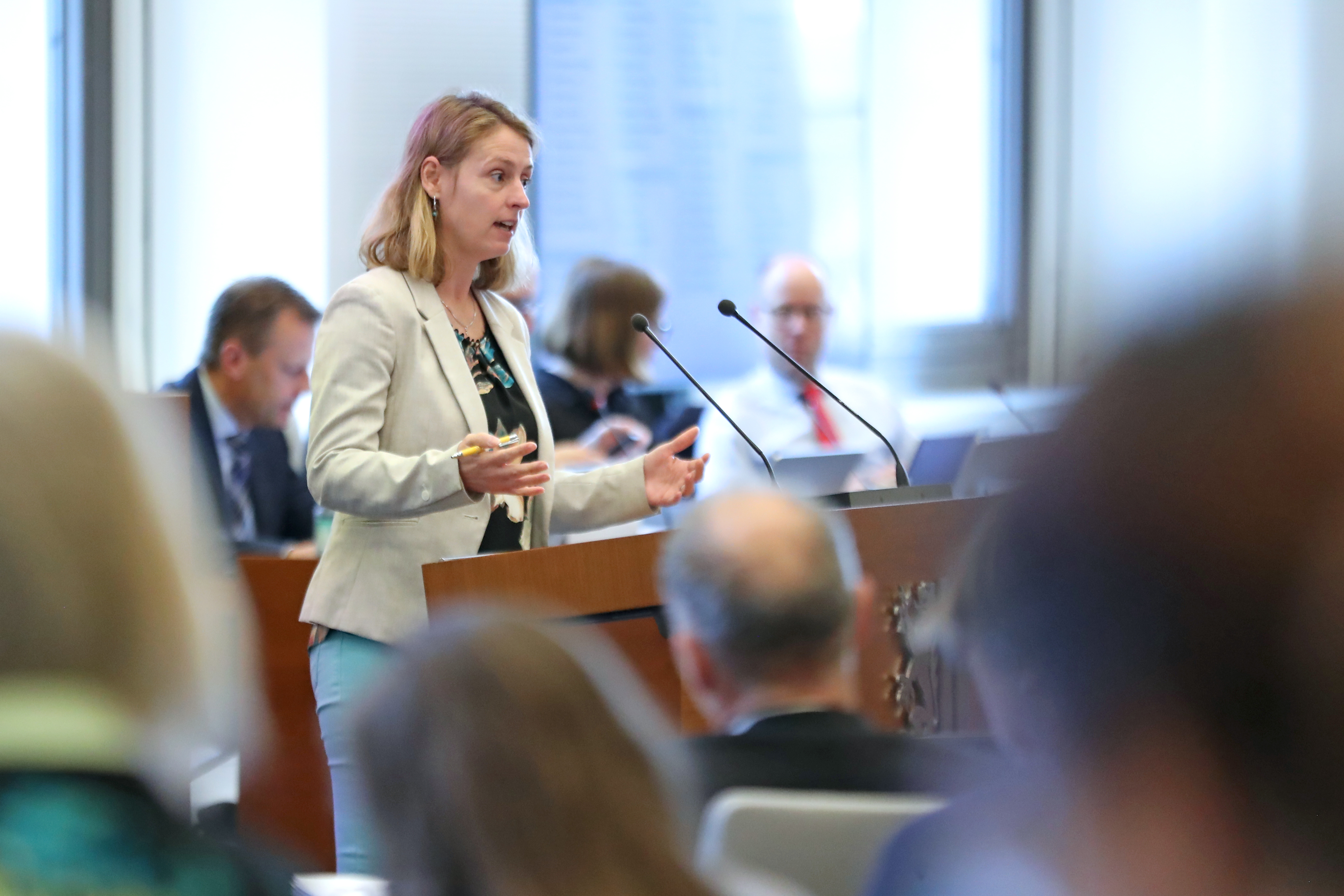 Franziska Riekewald (Die Linke) im Leipziger Stadtrat am 29.10.25. Foto: Jan Kaefer