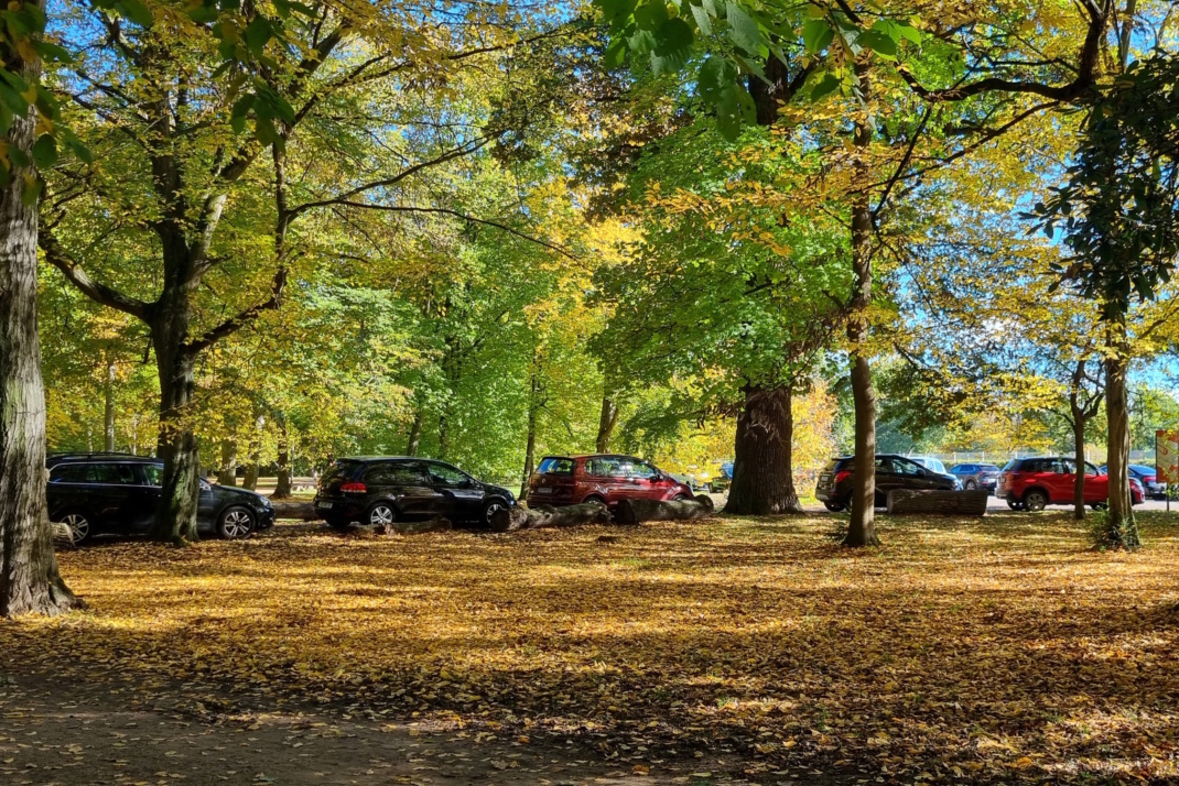 Blick in einen Park.