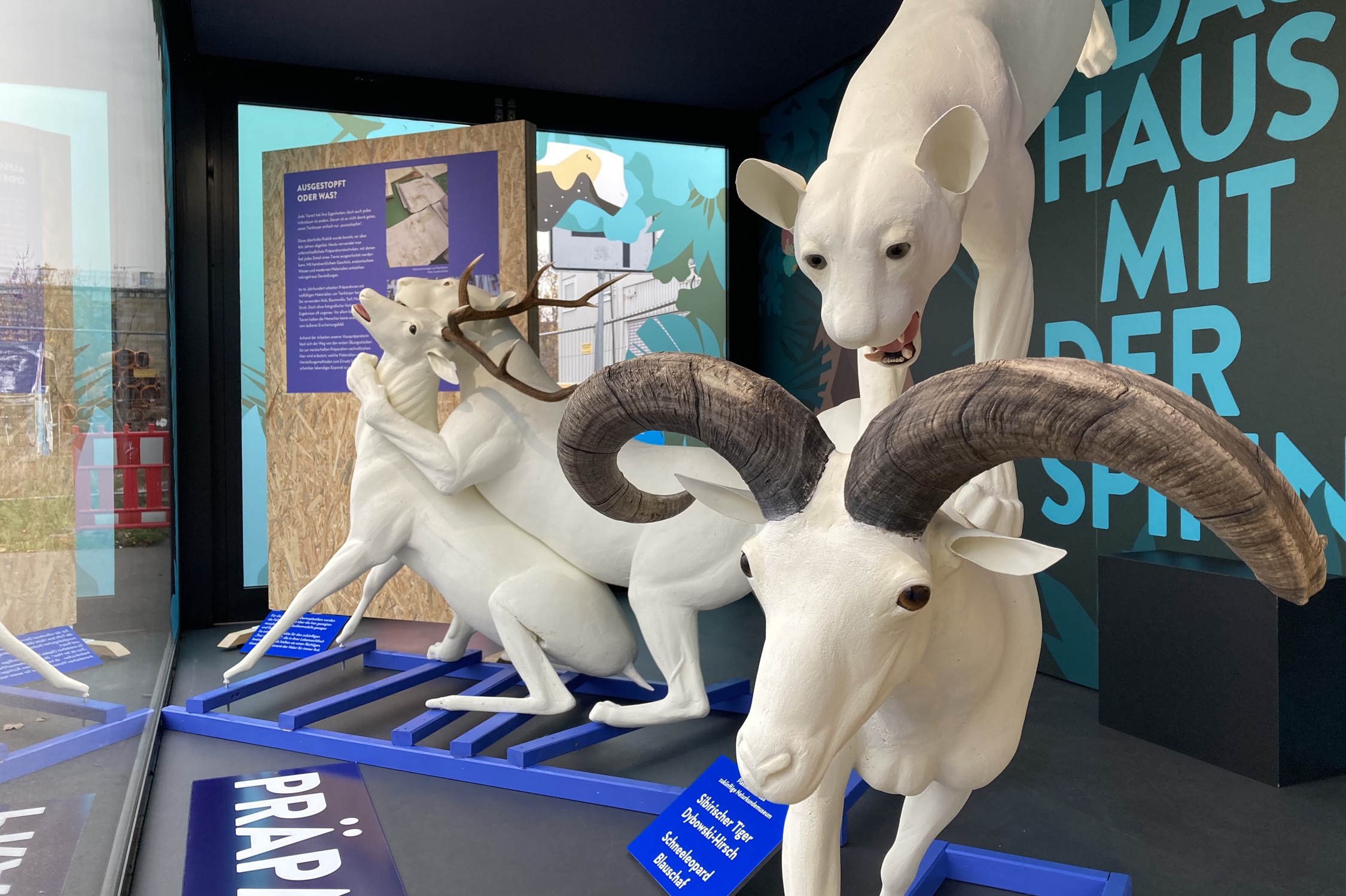 Die ExpoBox auf dem Wilhelm-Leuschner-Platz. Foto: Naturkundemuseum Leipzig