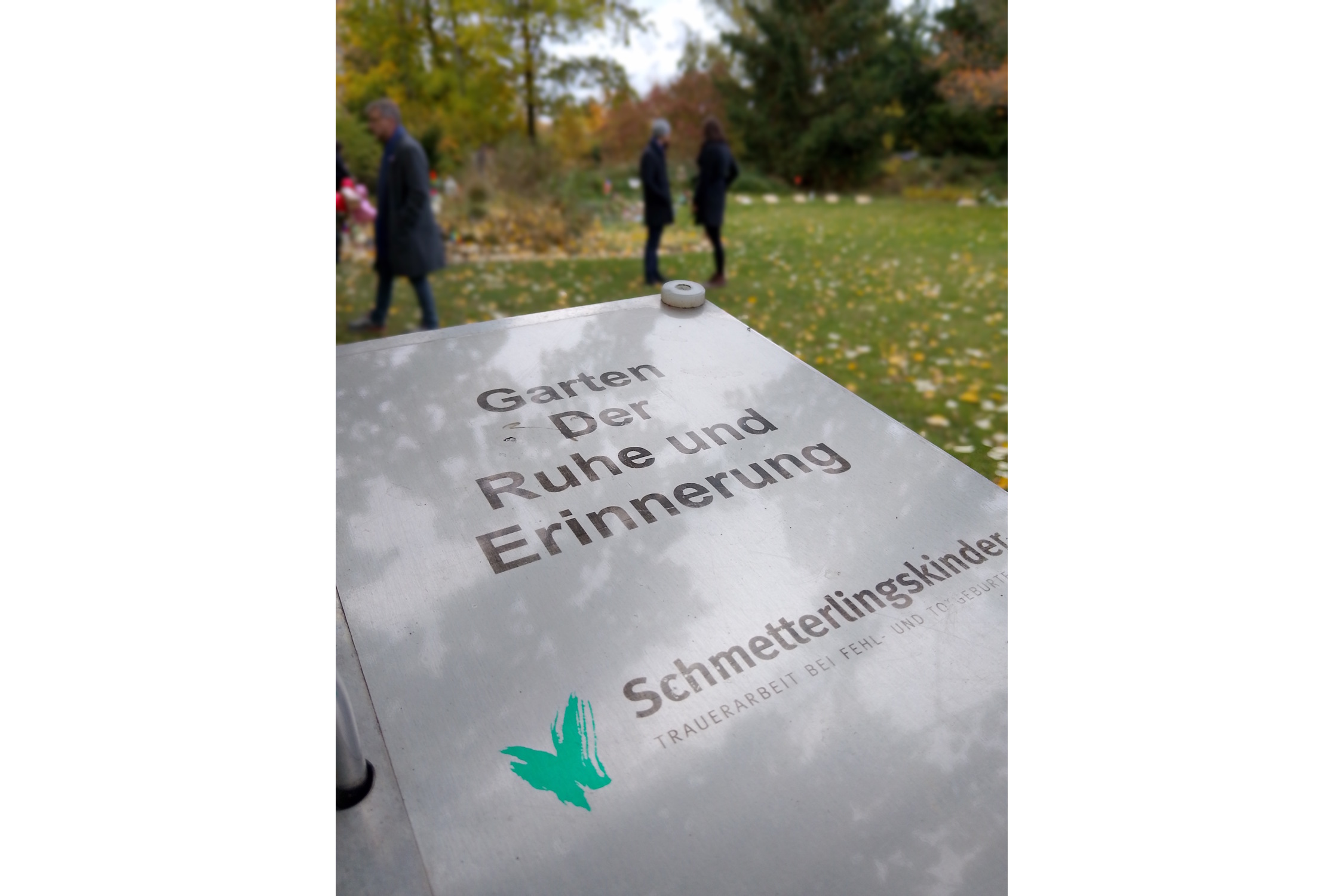 „Garten der Ruhe und Erinnerung“ – so heißt das Areal für die Schmetterlingskinder auf dem Friedhof Lindenau offiziell. Foto: Holger Zürch