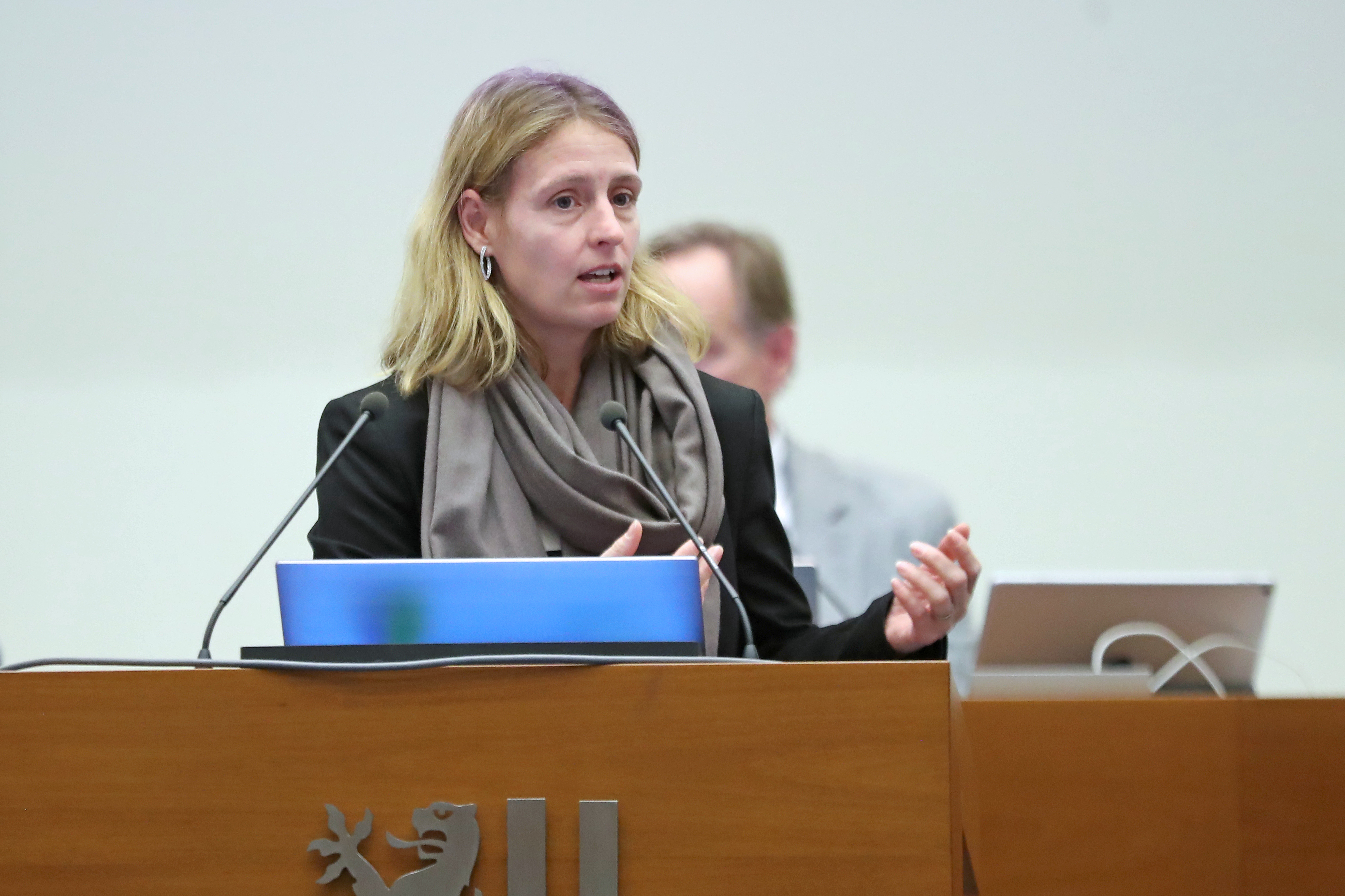 Frau Franziska Riekewald (Die Linke) im Leipziger Stadtrat am 26.11.2025. Foto: Jan Kaefer