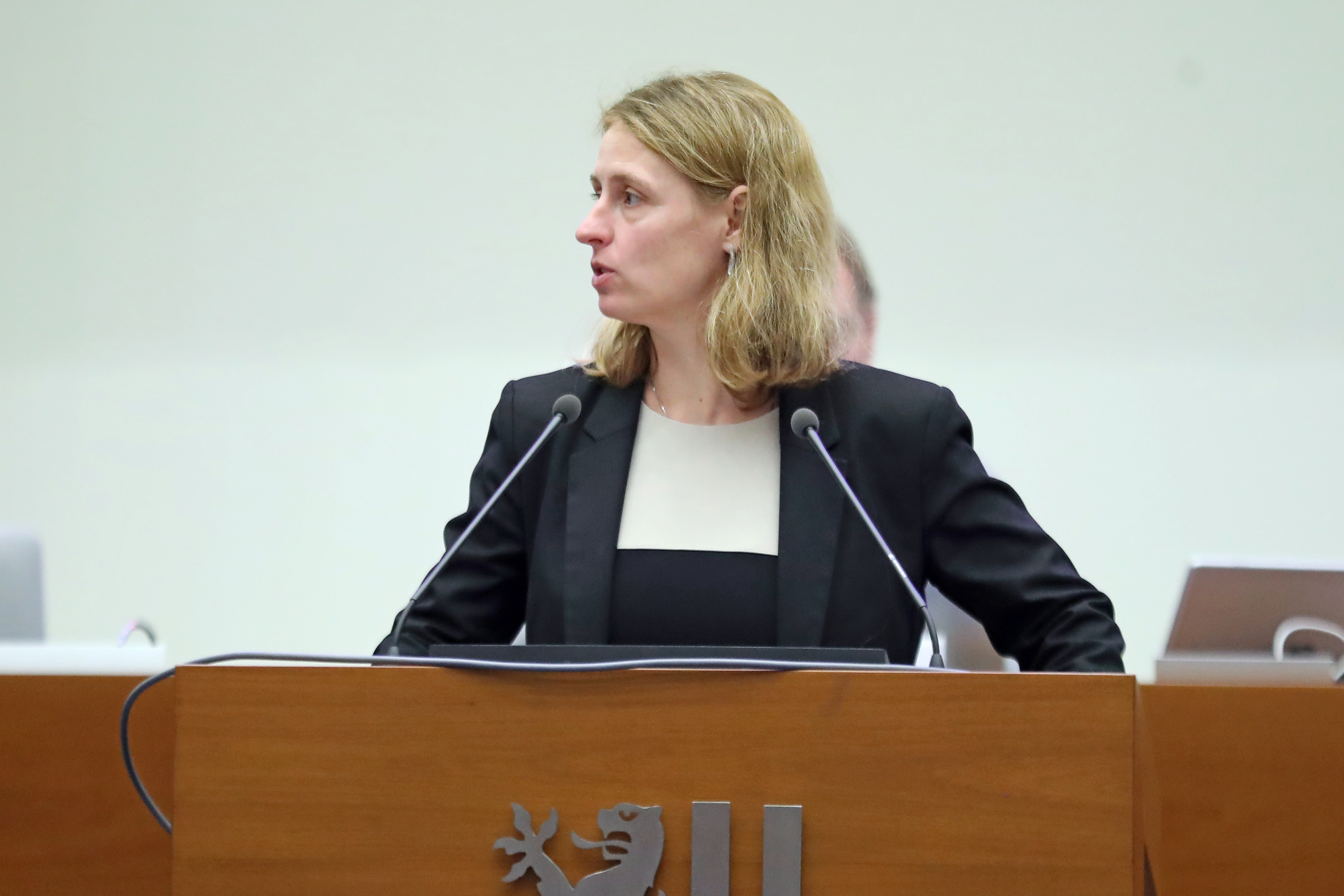 Frau Franziska Riekewald (Die Linke) im Leipziger Stadtrat am 26.11.2025. Foto: Jan Kaefer