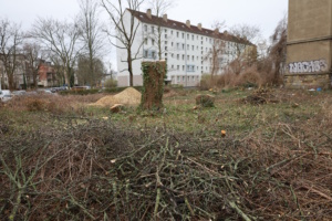 Das Eckgrundstück an der Georg-Schumann-Straße, auf dem die Ahmadiyya-Gemeinde ihre Moschee bauen will.