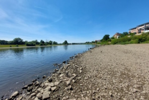 Niedrigwasser der Elbe bei Dresden.
