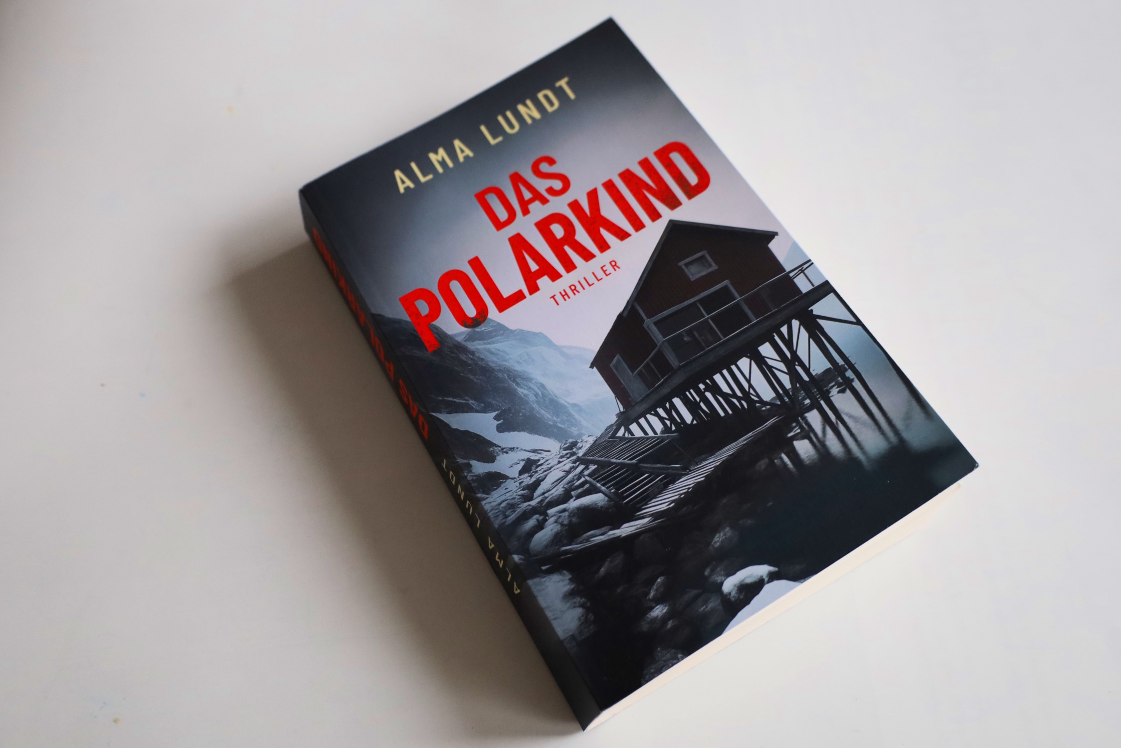 Das-Polarkind-Wie-die-Kinder-rztin-Martha-am-Polarkreis-den-Schatten-ihrer-Vergangenheit-begegnet