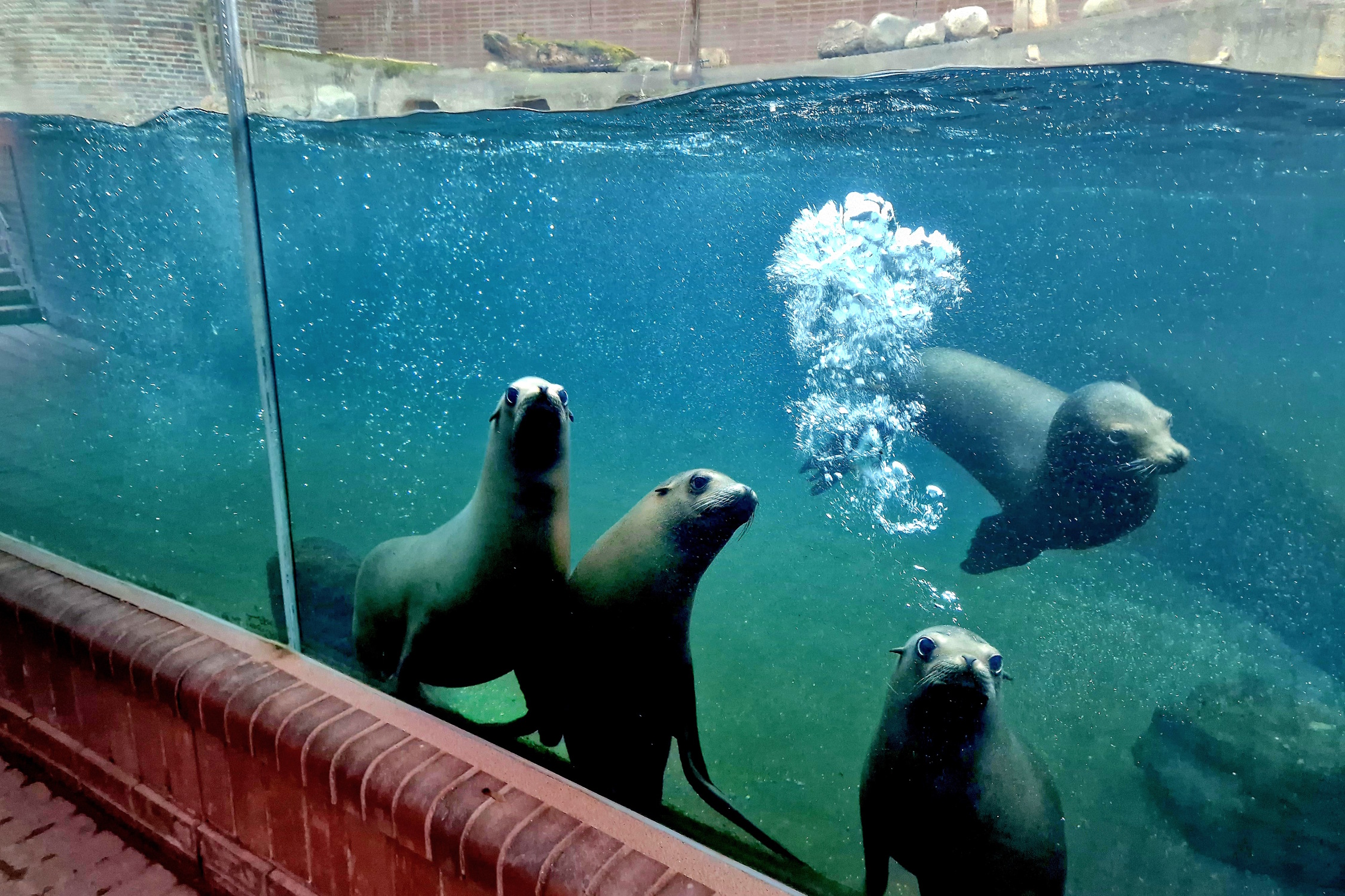 Zoo-Leipzig-2026-Eintrittspreise-steigen-und-Feuerland-soll-er-ffnen