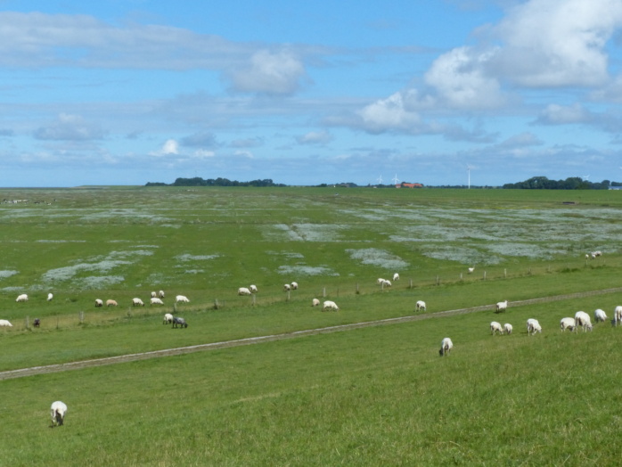 Unheilig-Verderben-im-Schatten-der-Weihnacht-Teil-3