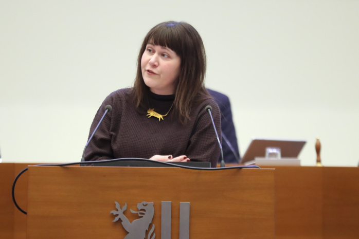 Der-Stadtrat-tagte-Warum-bekommt-Leipzigs-City-nicht-gleich-mehrere-Mobile-Gr-ne-Zimmer-