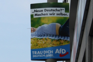 AfD-Wahlplakat.