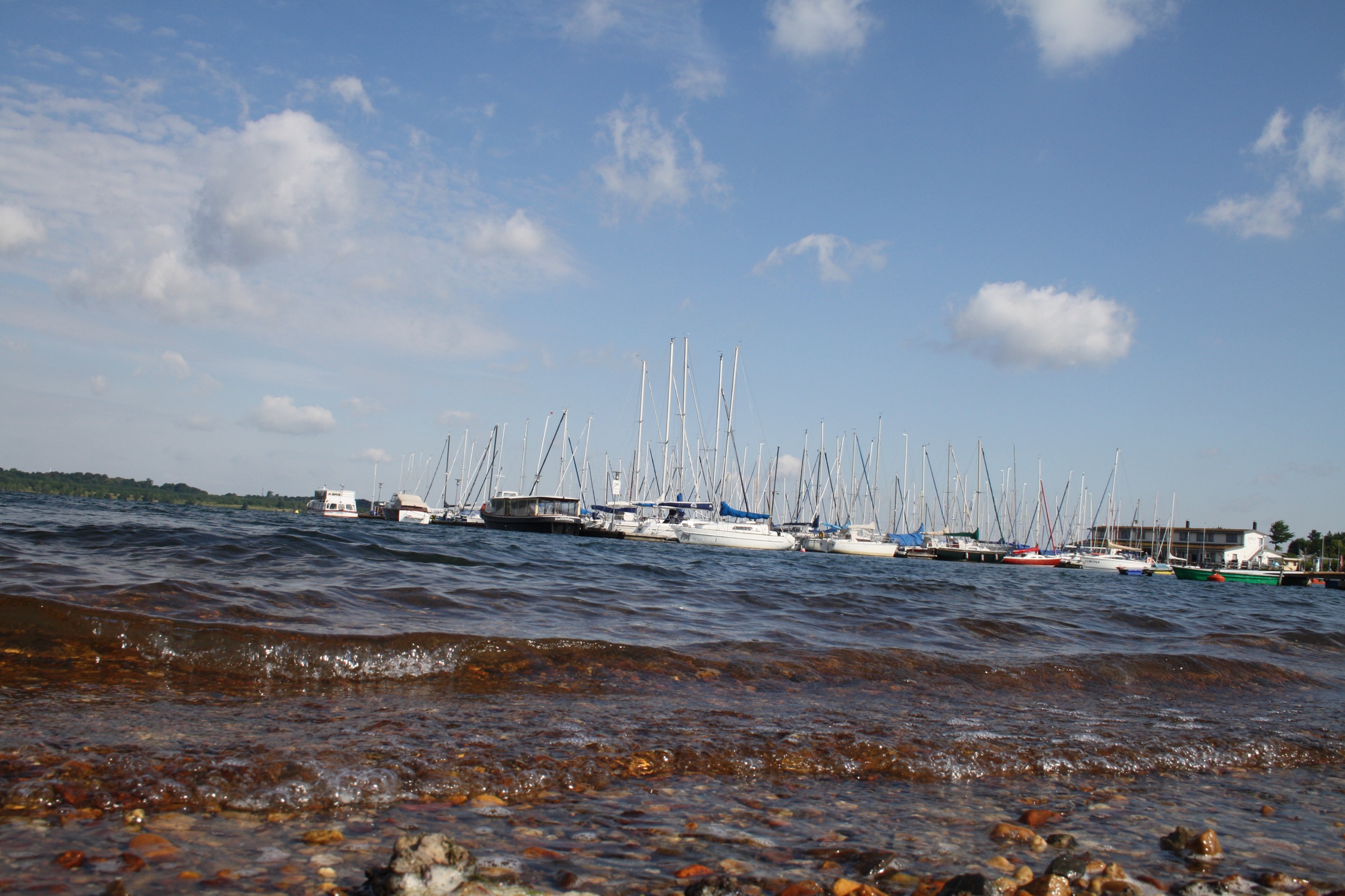 Freigabe-des-Cospudener-Sees-f-r-Motorboote-BUND-Leipzig-kritisiert-die-Entscheidung-der-Landesdirektion
