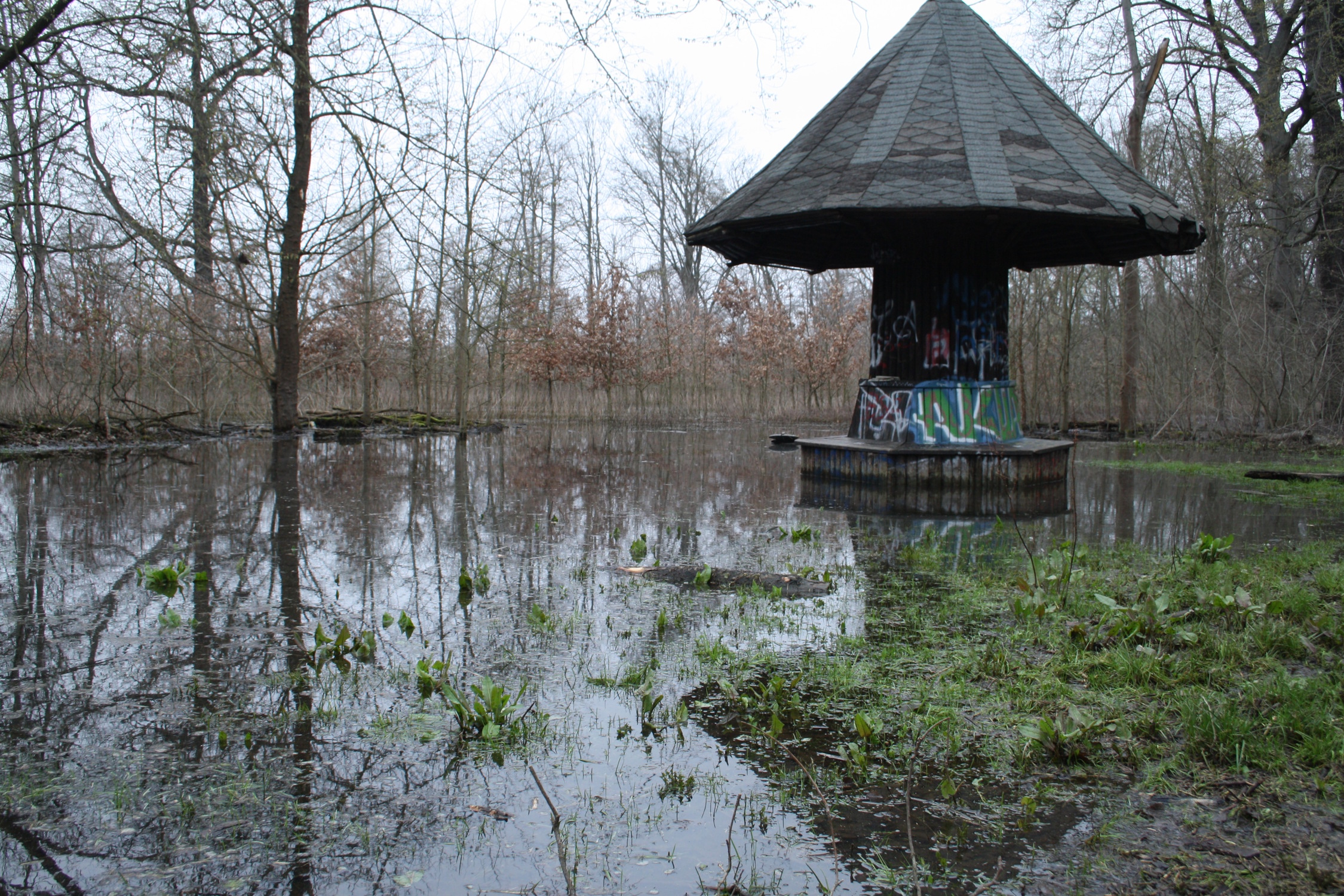 2026-was-kommt-F-r-Bauarbeiten-an-der-Dynamischen-Aue-werden-im-Januar-Wege-im-Elster-Plei-e-Auwald-gesperrt