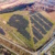 Luftbildaufnahme der Photovoltaikanlage auf der Zentraldeponie Croebern. Foto: WEV mbH