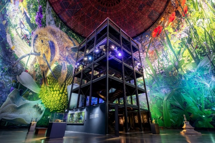 Small things in a big world. Despite the pandemic, “Carola's Garden” attracted more than 300,000 visitors. Photo: Tom Schulze/Asisi Factory 