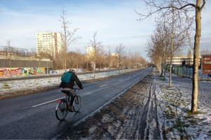 Radfahrer fährt auf Fahrbahn, der Radweg ist von Schneematsch bedeckt.