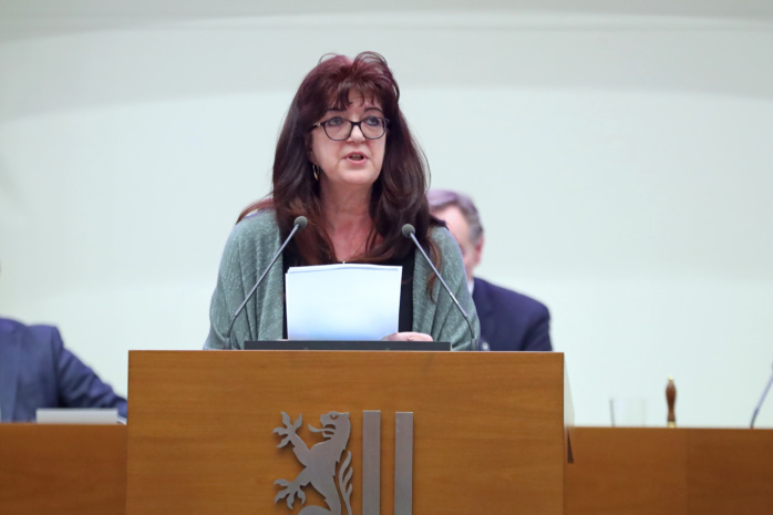 Der-Stadtrat-tagte-Blumige-AfD-Idee-wird-in-CDU-Version-vom-Stadtrat-abgenickt