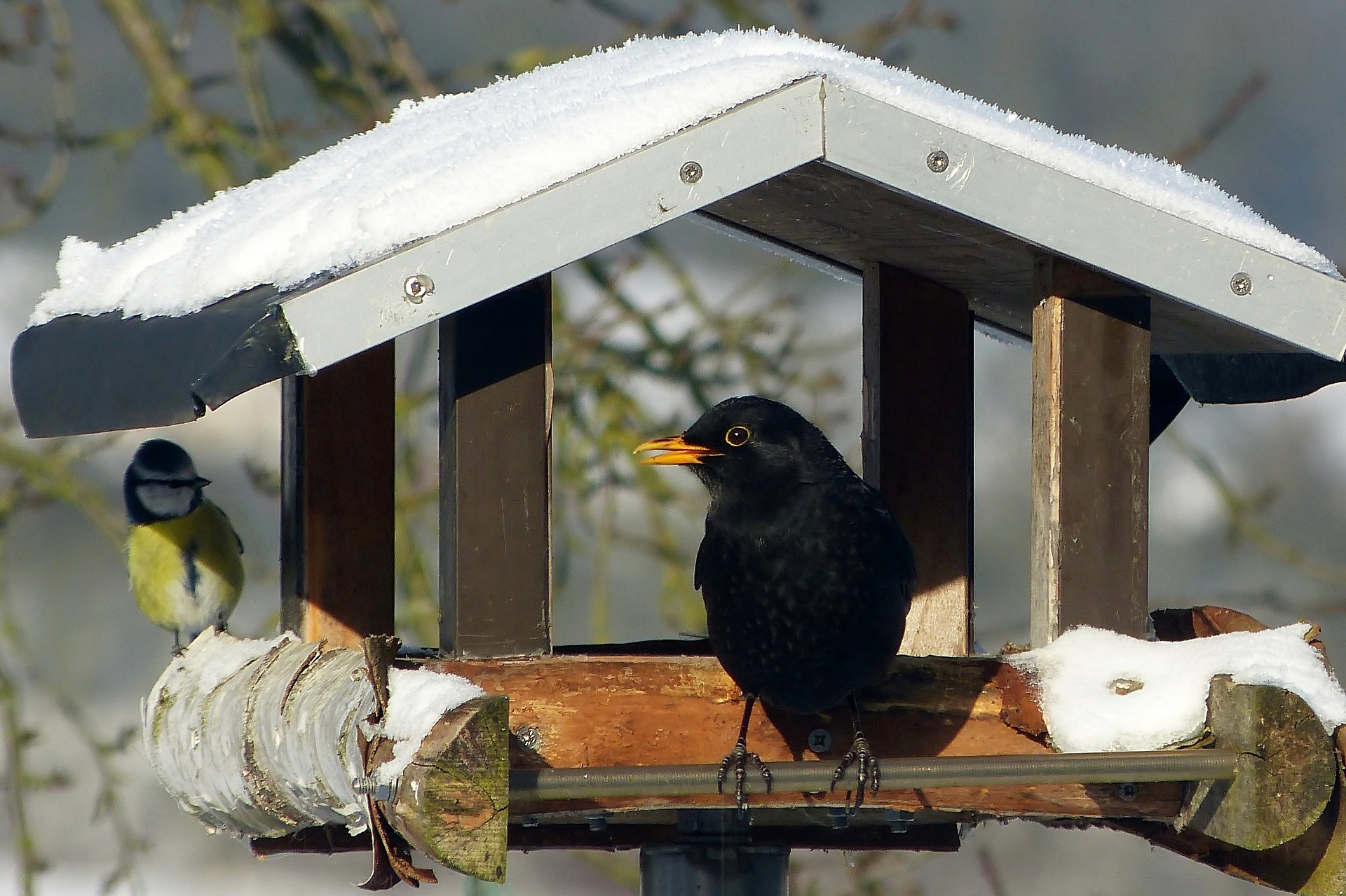 Trocken und gemütlich. Wildvögel lieben das klassische Futterhäuschen. Foto: Gamagapix/Pixababy
