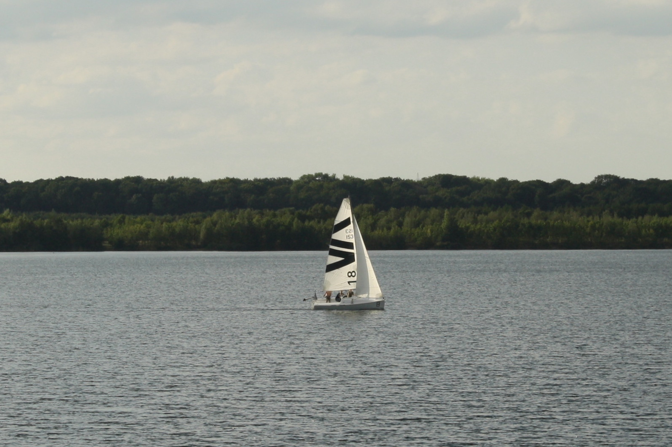 Cospudener-See-Gr-ne-wollen-OBM-auffordern-in-Dresden-f-r-die-nderung-des-Wassergesetzes-zu-k-mpfen