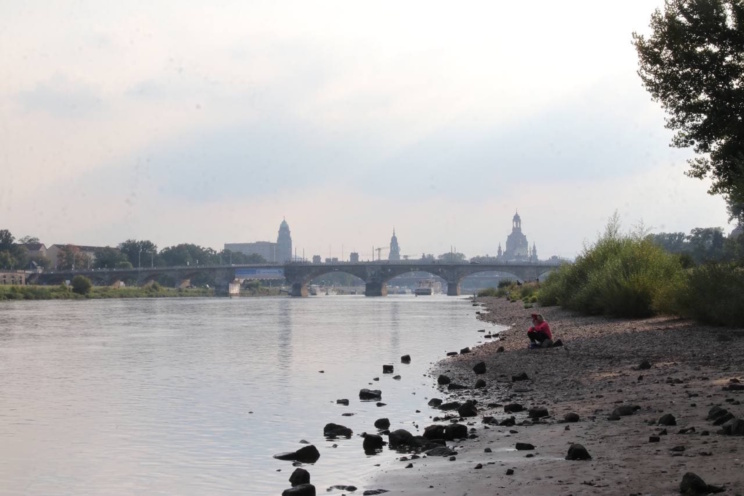 Die Elbe in Dresden. Foto: Michael Freitag