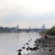 Die Elbe in Dresden. Foto: Michael Freitag