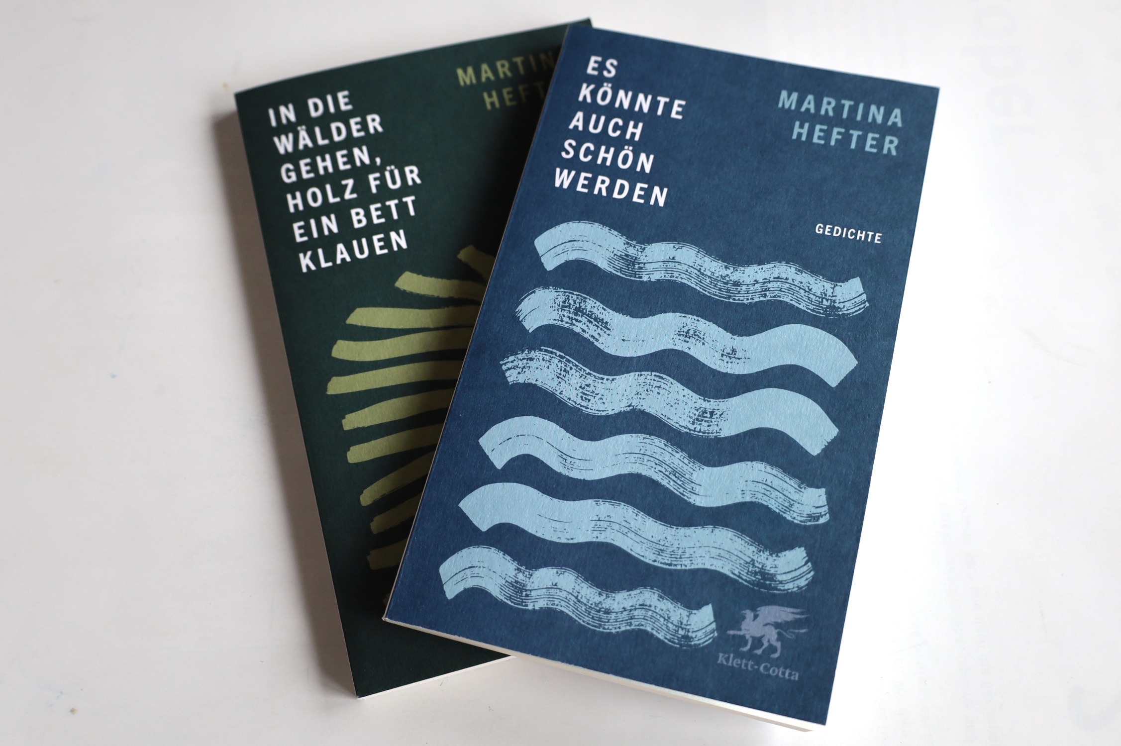 Es-k-nnte-auch-sch-n-werden-Mit-Martina-Hefter-einen-Ort-entdecken-an-dem-die-Poesie-sich-versteckt