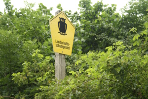 Wer schützt wertvolle Naturgüter, wenn Umweltverbände nicht mehr klagen dürfen? Foto: Ralf Julke