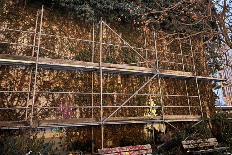 Zerstörter Efeubewuchs in der Thomasiusstraße 6. Foto: Ökolöwe Leipzig