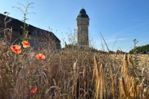 Auch Felder und Feldraine gehören zum Biotopverbund. Foto: Michael Frreitag