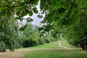 Aufnahme im Leipziger Friedenspark.
