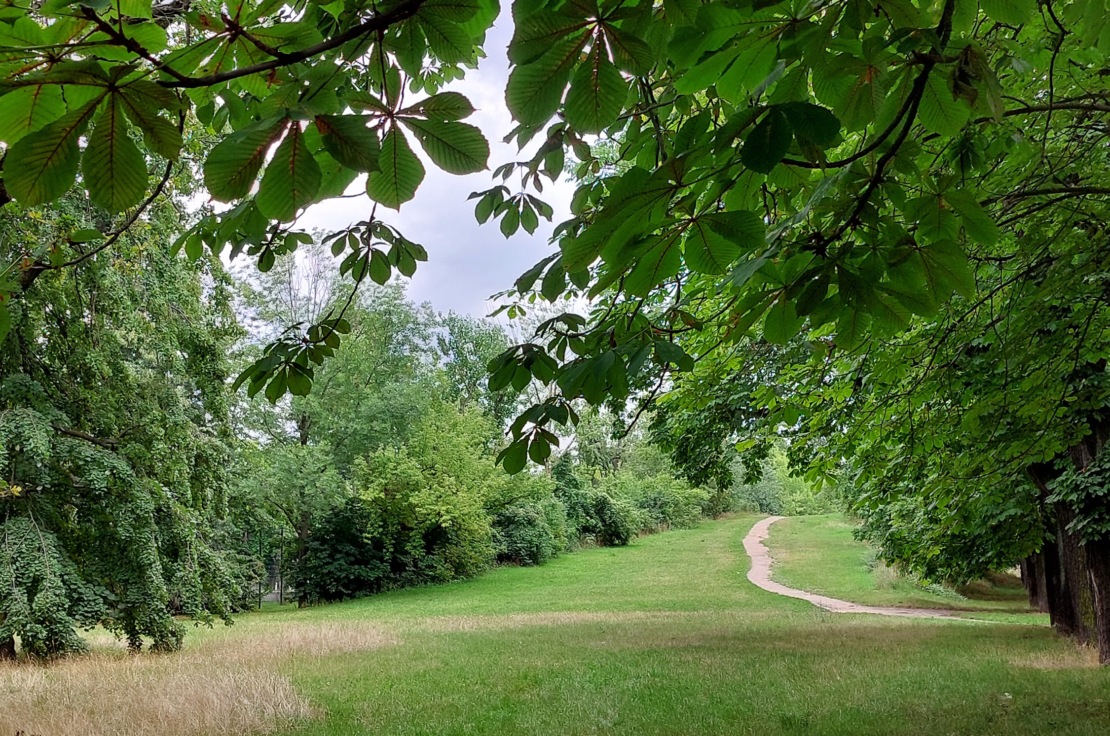 Aufnahme im Leipziger Friedenspark.