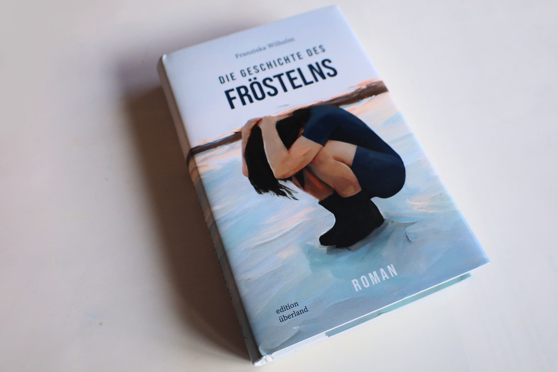 Die-Geschichte-des-Fr-stelns-Ein-mitrei-ender-Roman-ber-das-Au-enseitersein-und-Almas-Suche-nach-W-rme