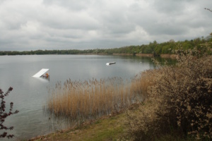 Das Südufer des Kulkwitzer Sees. Foto: Ralf Julke