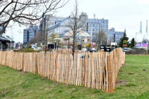 Die eingehegte Waldinsel am Bauhaus Fachzentrum im Sachsenpark. Foto: BAUHAUS AG/Jenny Stadthaus