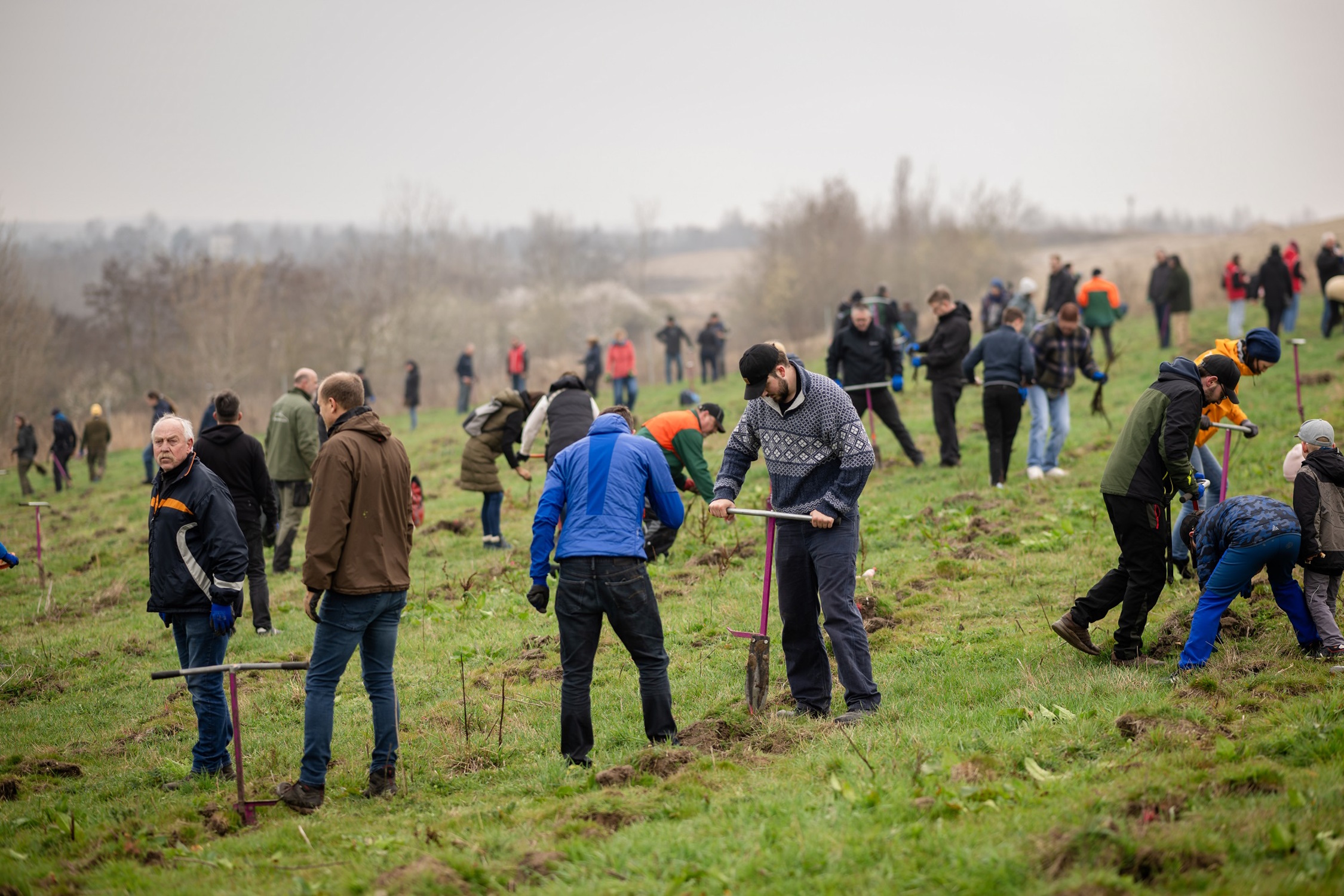 Baumpflanzaktion der Sparkasse Leipzig am 21. März am, Störmthaler See. Foto: Christian Modla
