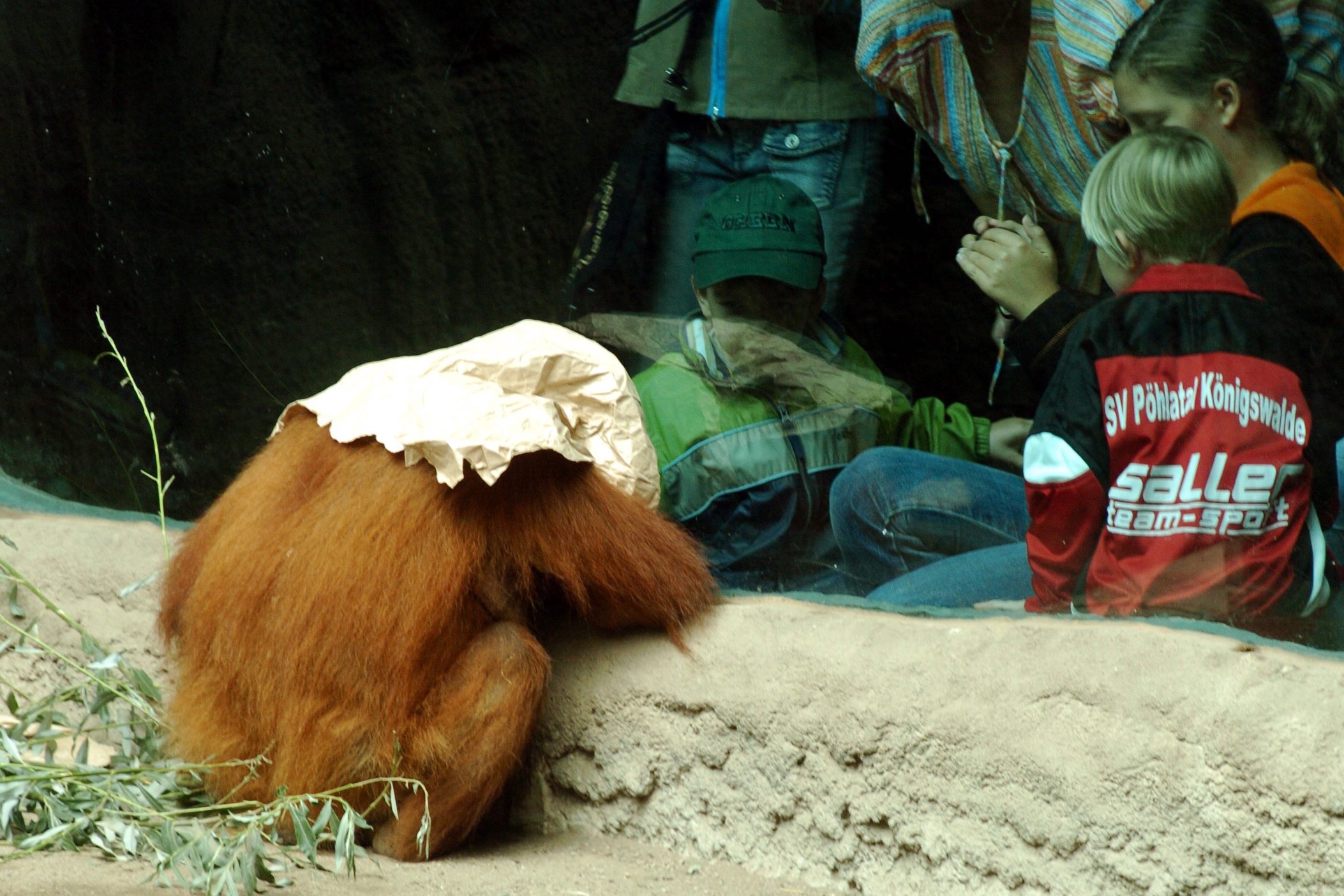 Hallo Leipzig: So startet Dienstag, der 3. März 2026