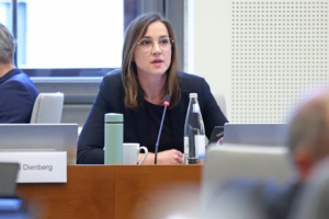 Vicki Felthaus im Stadtrat.