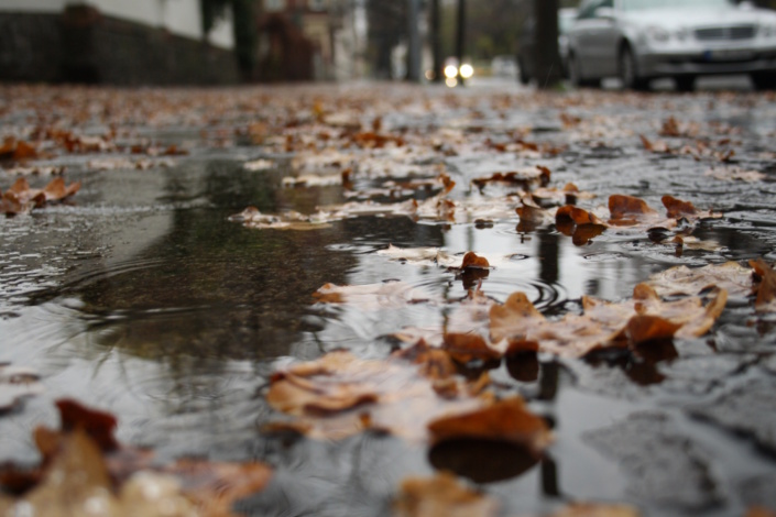 Bei Regen wird der kaputte Zustand vieler Fußwege erst rtichtig sichtbar. Foto: Ralf Julke