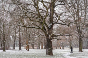 Aus der Serie „Winterstadt“. Foto: Roland Quester