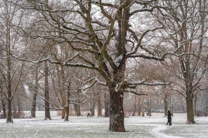 Aus der Serie „Winterstadt“. Foto: Roland Quester