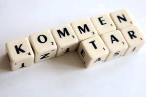 In Kommentarspalten wird Demokratie ein Stück weit lebendig. Foto: Ralf Julke