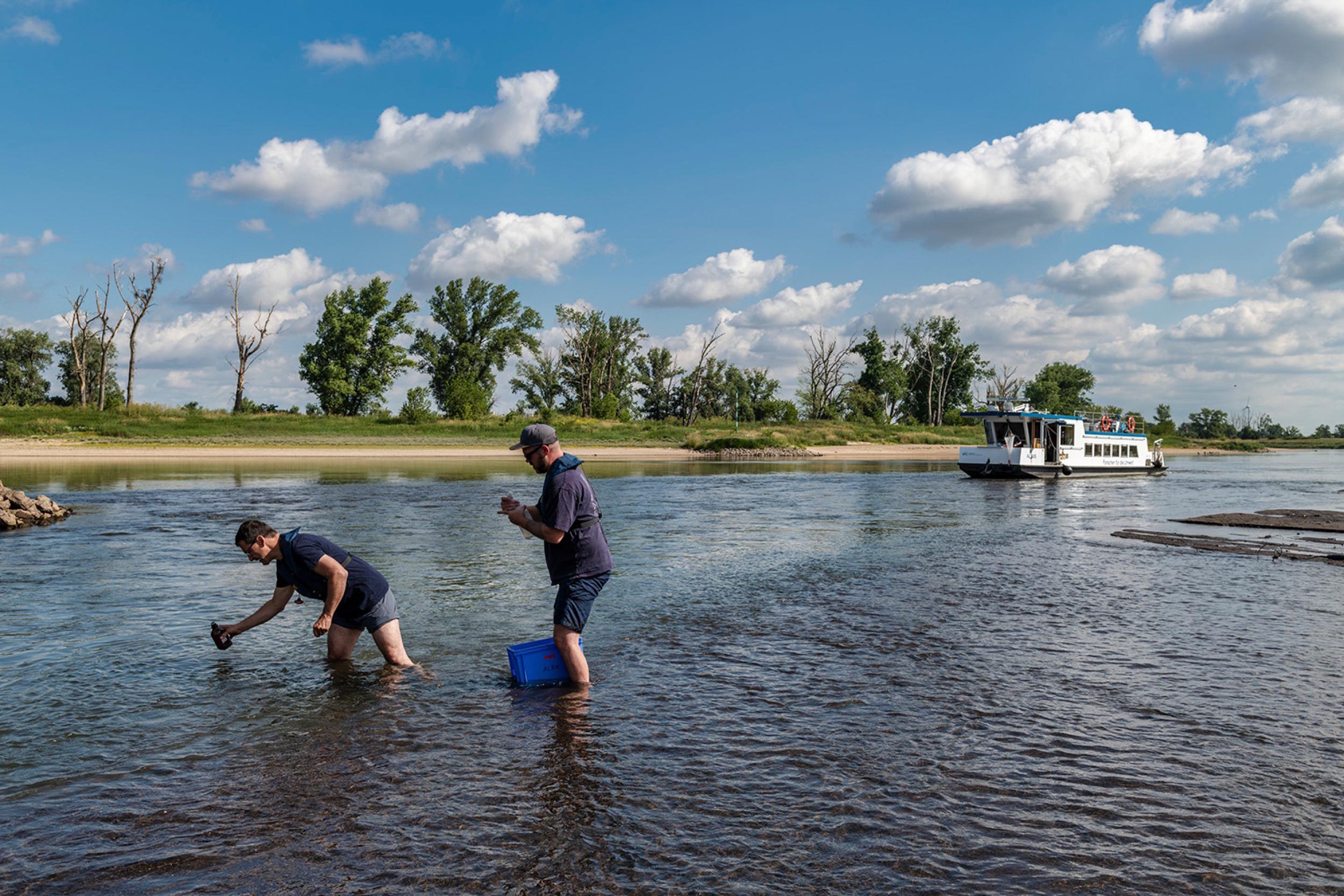 Entnahme von Wasserproben in der Elbe. Foto: André Künzelmann / UFZ