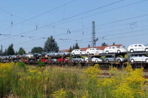 Zug mit verladenen Pkw fäht vorbei.