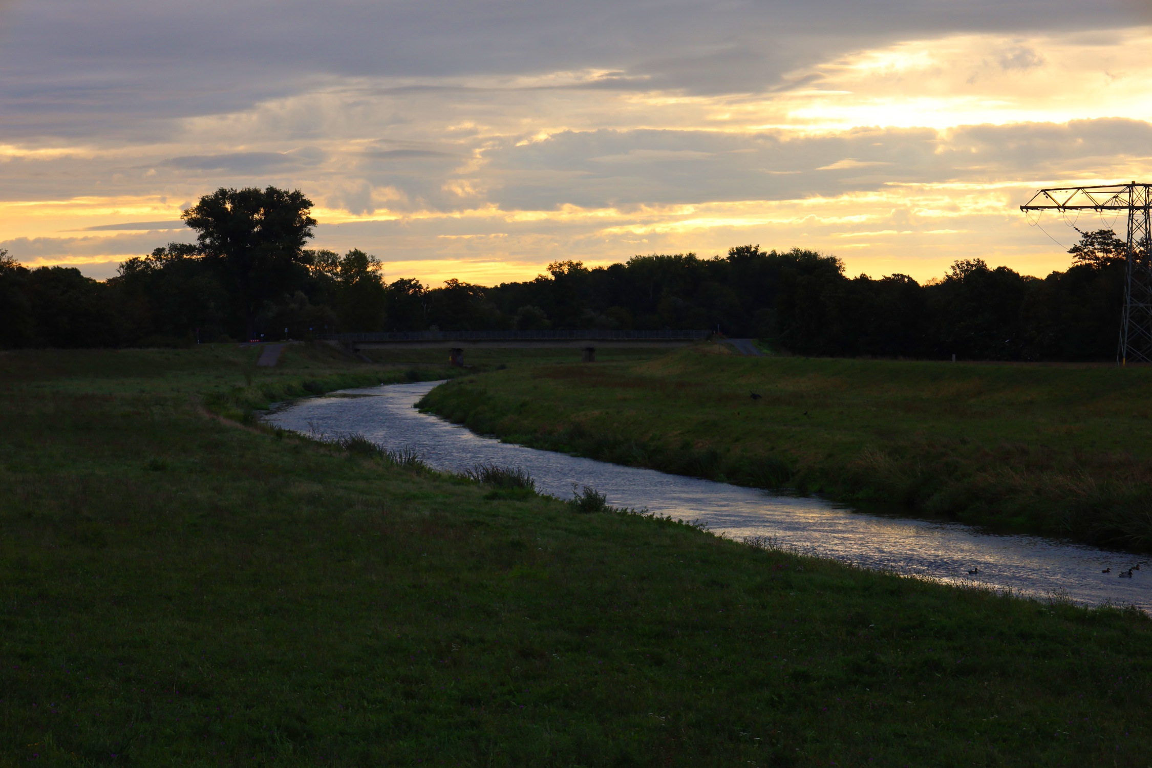 Sachsen will die Wiederherstellungsverordnung aushebeln: NABU Sachsen reagiert mit scharfer Kritik