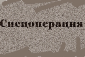 Wörter, die etwas anderes bedeuten ... Grafik: LZ