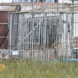 Die Tigeranlage von Carmen Zander in Dölzig. Foto: Benjamin Weinkauf