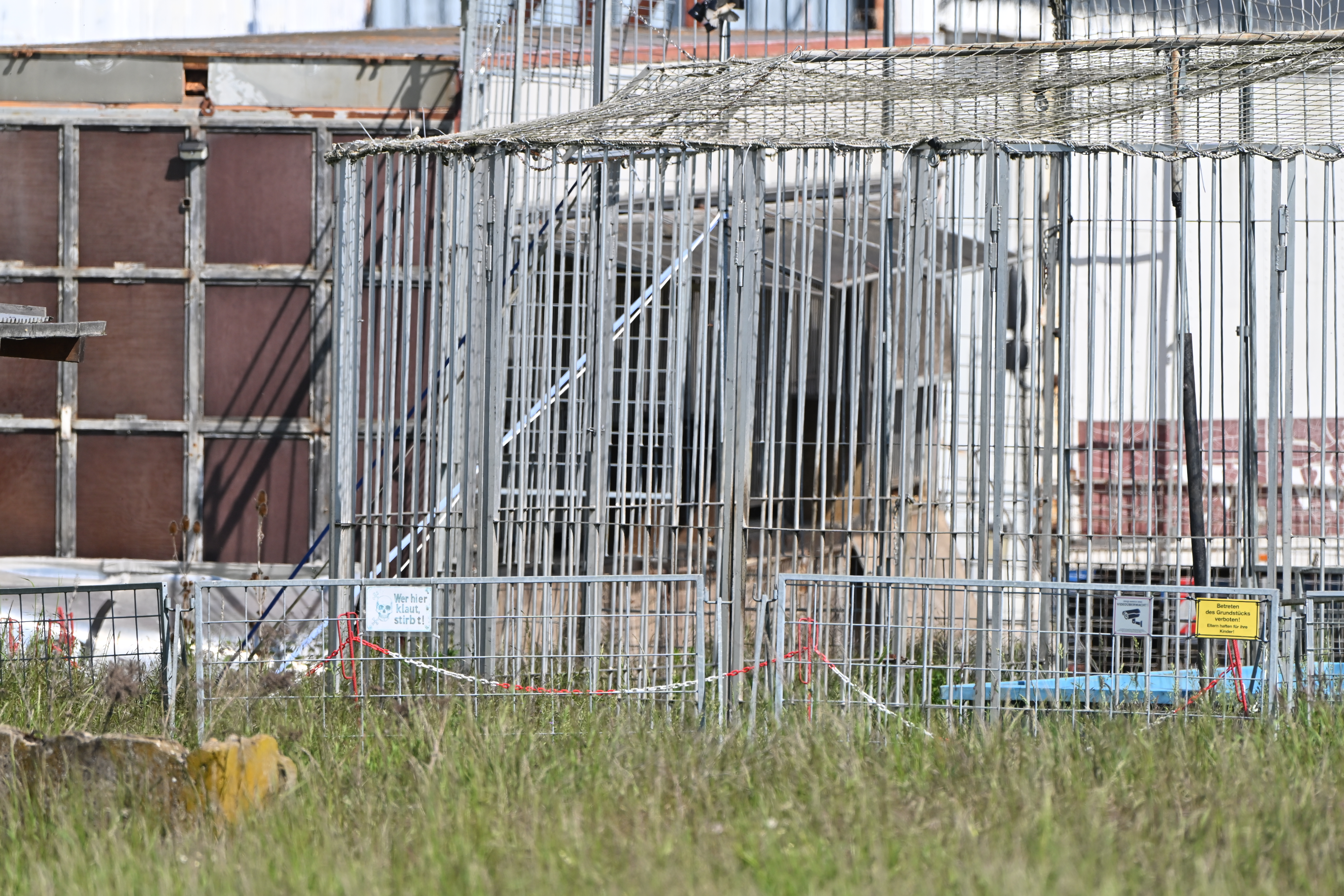 Die Tigeranlage von Carmen Zander in Dölzig. Foto: Benjamin Weinkauf