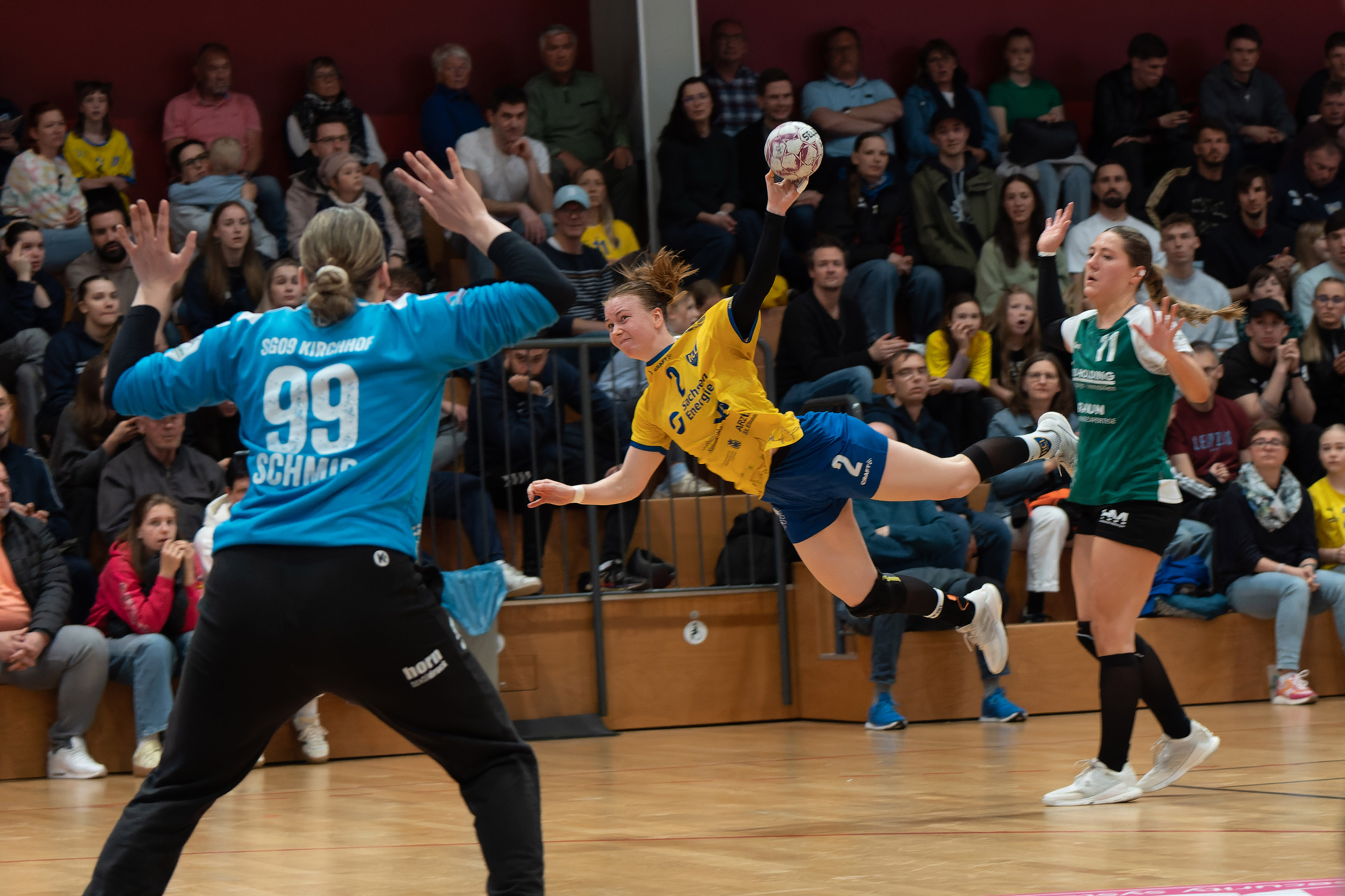 Zurück in die Erfolgsspur: HCL empfängt HL Buchholz 08-Rosengarten
